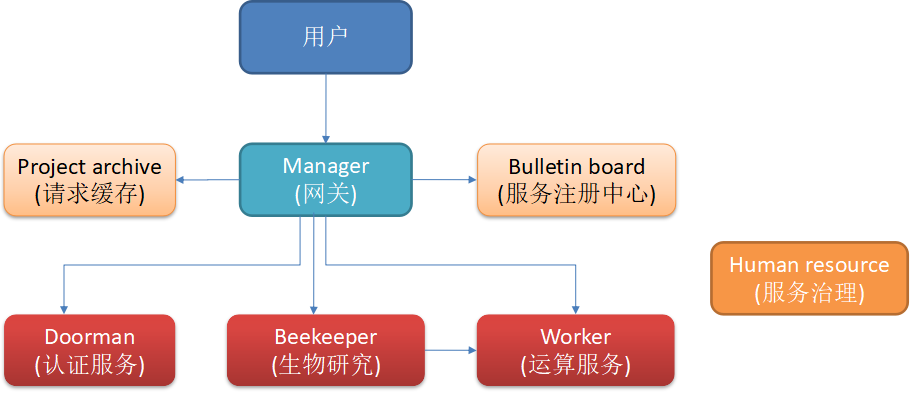 company structure